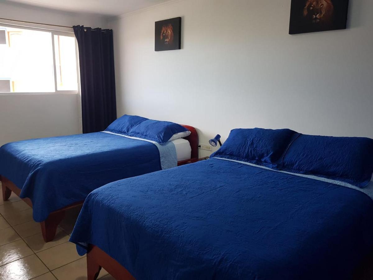 Hotel Grosseto Palma Real Loma 外观 照片